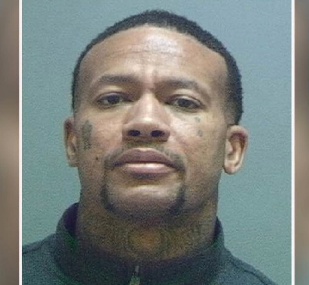 Liberava topi in hotel per non pagare: arrestato