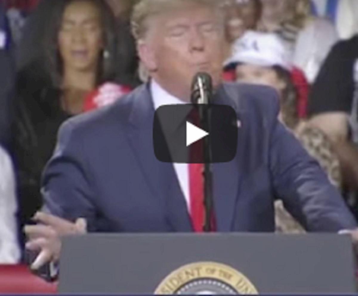 trump primarie democratiche usa