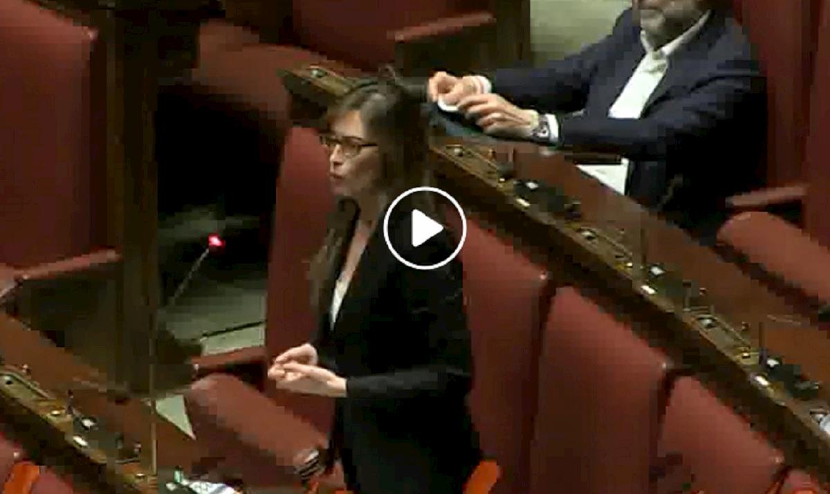boschi parla alla camera