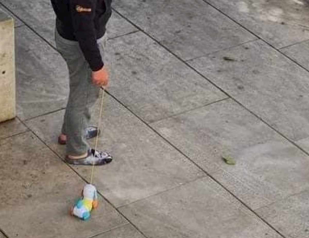 Coronavirus, la precisazione del Comune di Mamoiada: "Il cane a passeggio deve essere vivo" 01