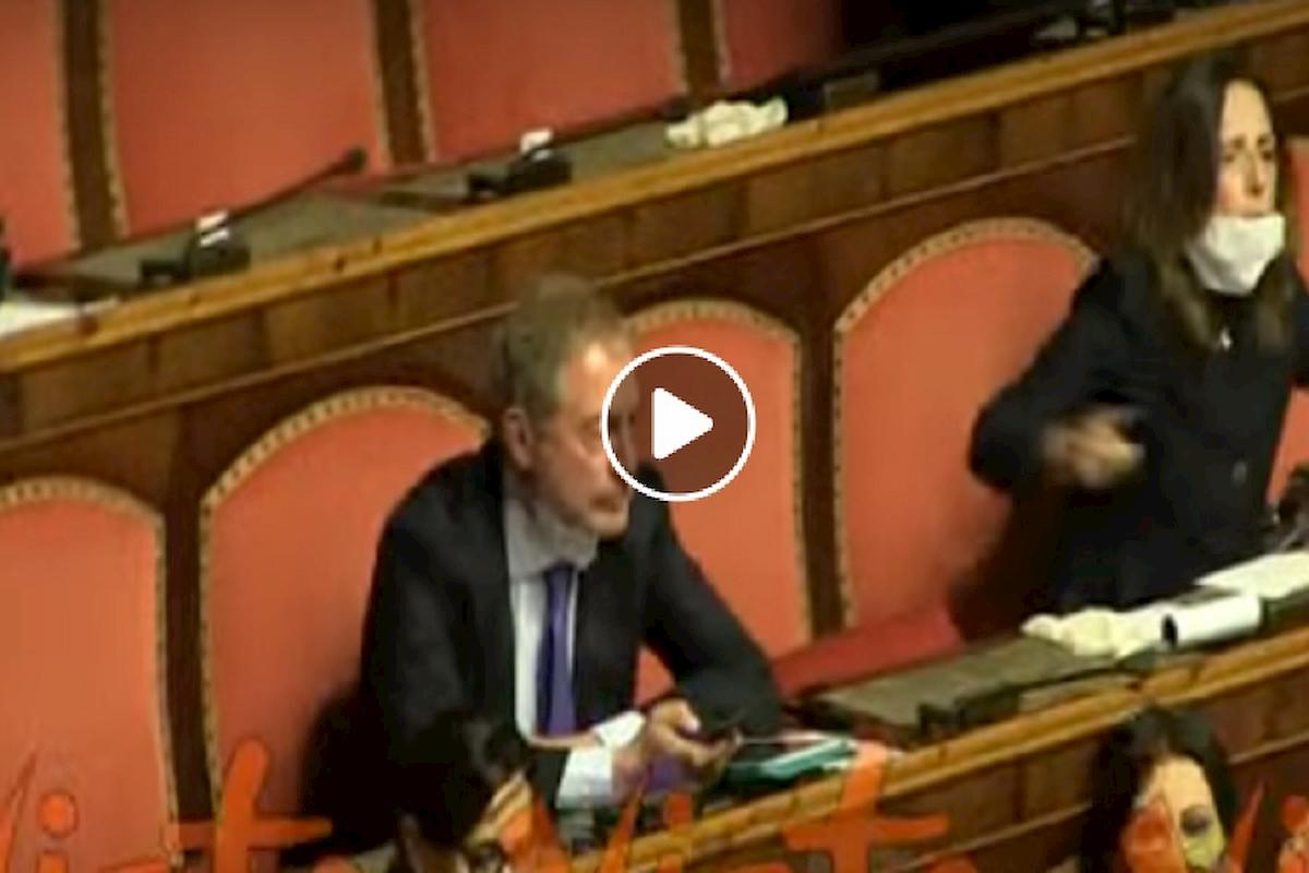 casellati in senato