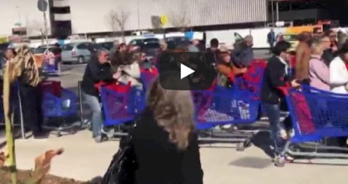 coronavirus vista francia