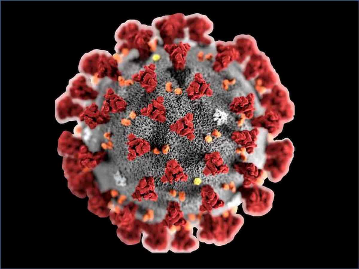 Coronavirus. Studio australiano apocalittico sul virus Covid-19: dai 15 ai 68 milioni di morti
