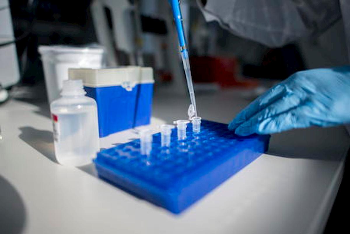 coronavirus temperature