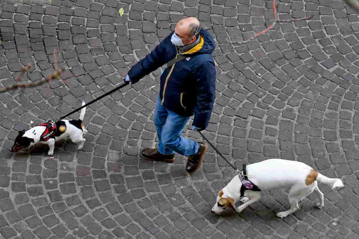 Coronavirus Italia, le zampe dei cani da lavare e i farmaci russi, giapponesi...marziani