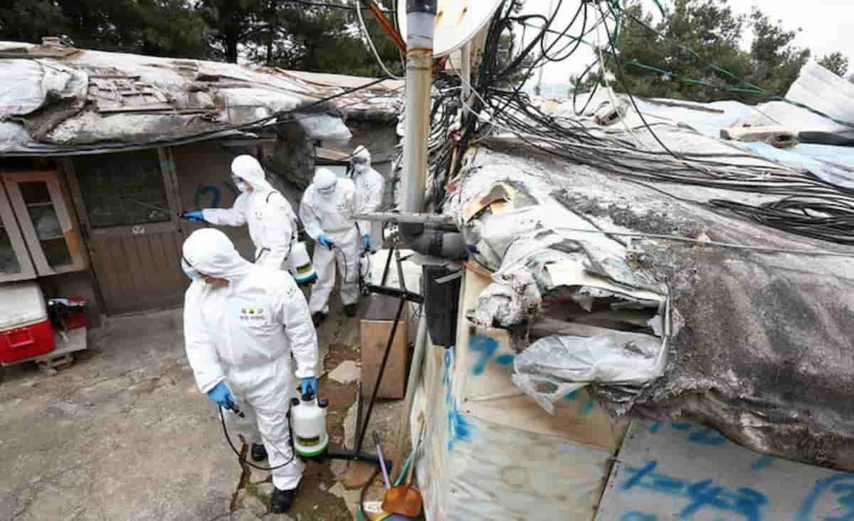 Coronavirus, ci mancava la setta (para cristiana) del curarsi è peccato in Corea del Sud