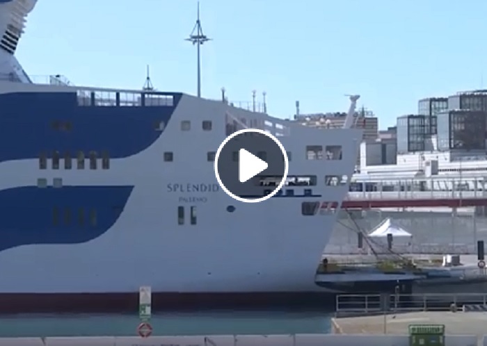 genova nave splendid