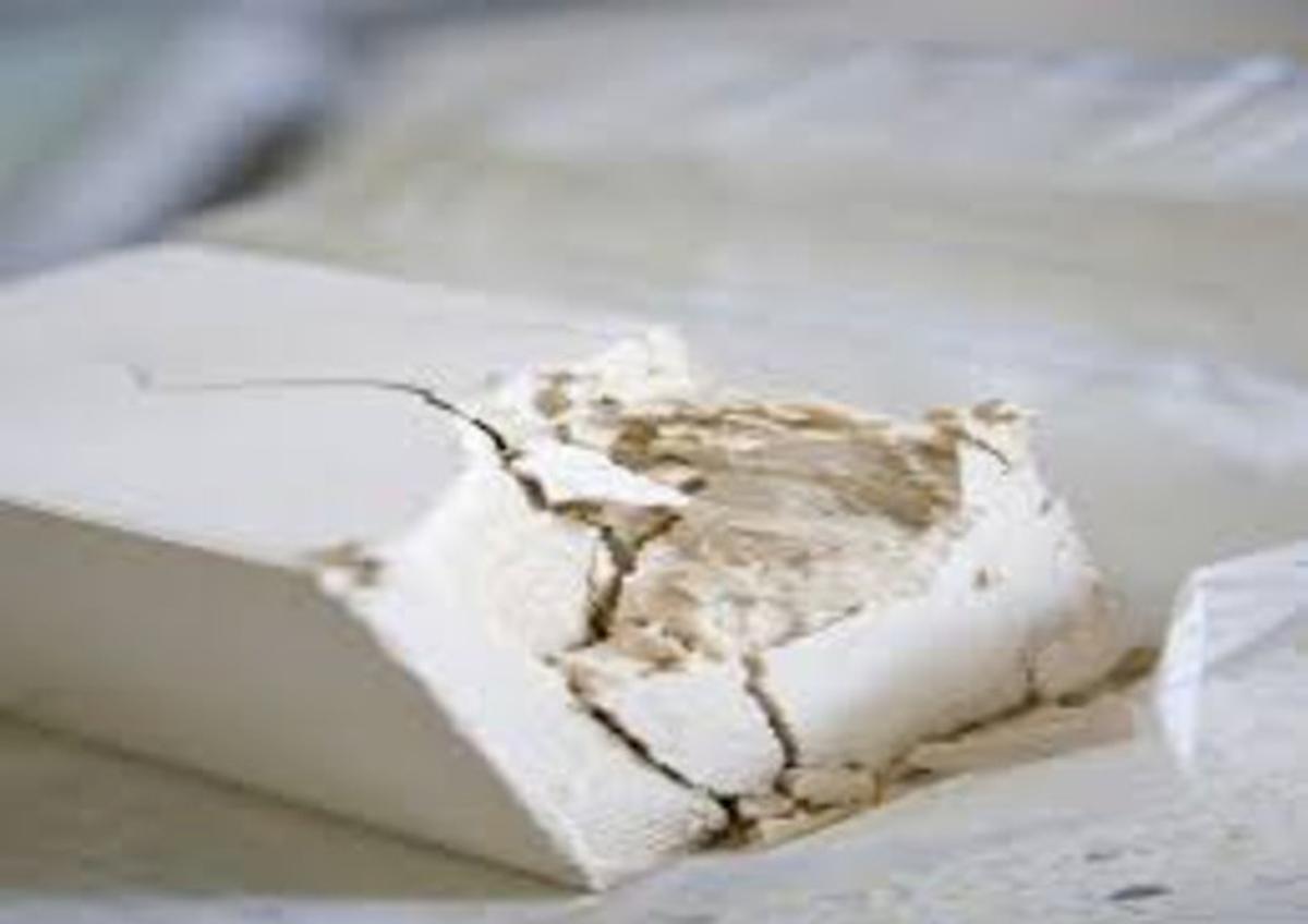 Coronavirus, il lievito si coltiva, non si fa. Per questo manca dagli scaffali