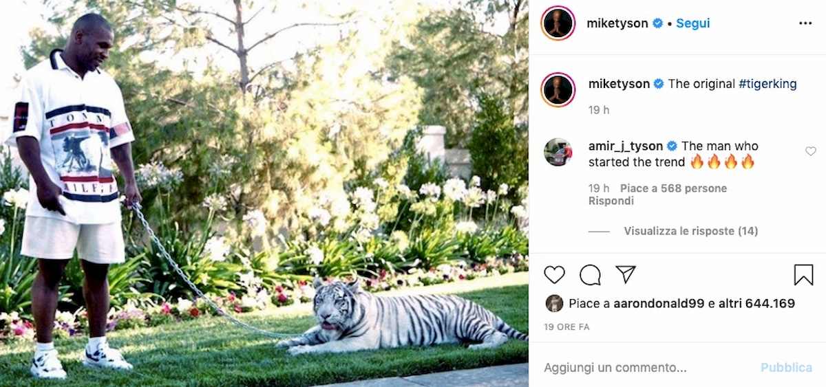 Mike Tyson: "La mia tigre ha strappato un braccio a una donna. Ecco quanto ho pagato per il suo silenzio"