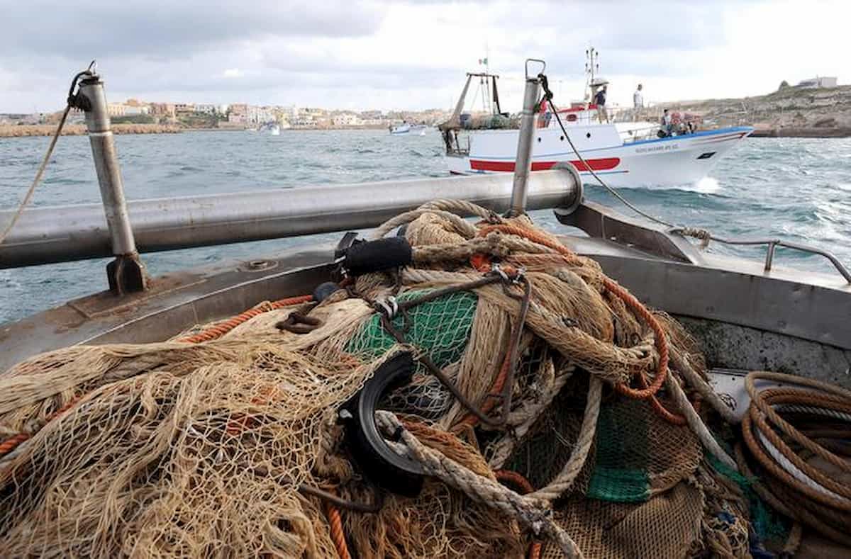 Coronavirus, sorpreso di ritorno dalla pesca a Cirò Marina: denunciato, aveva 60 kg di sarde