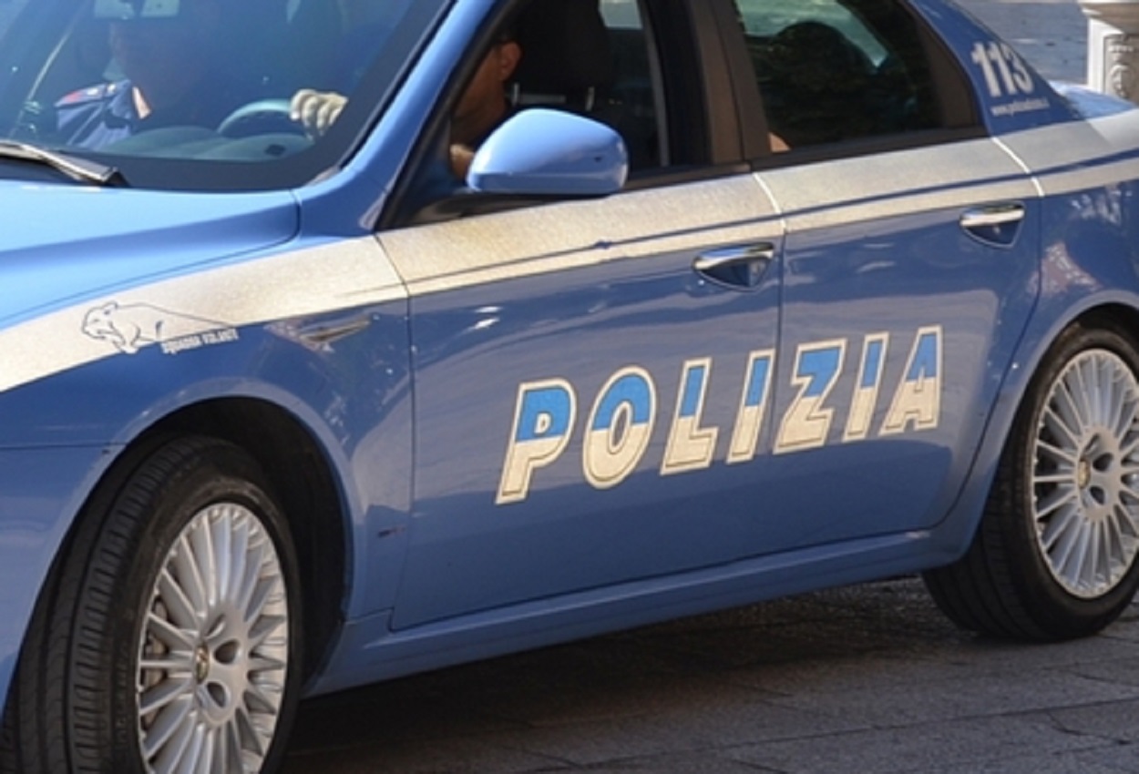 Polizia, Ansa