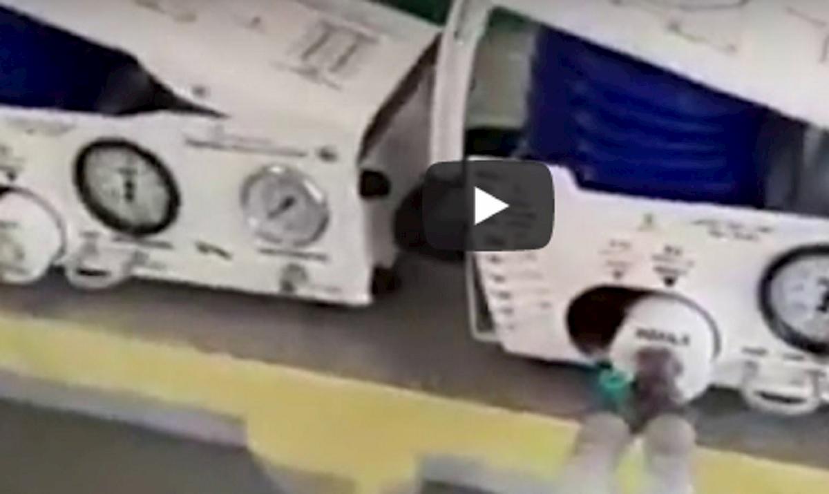 doppio respiratore polmonare