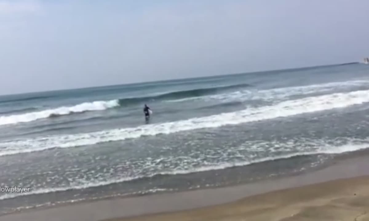 Coronavirus, sorpreso a fare surf a Ladispoli: la polizia a cavallo lo allontana