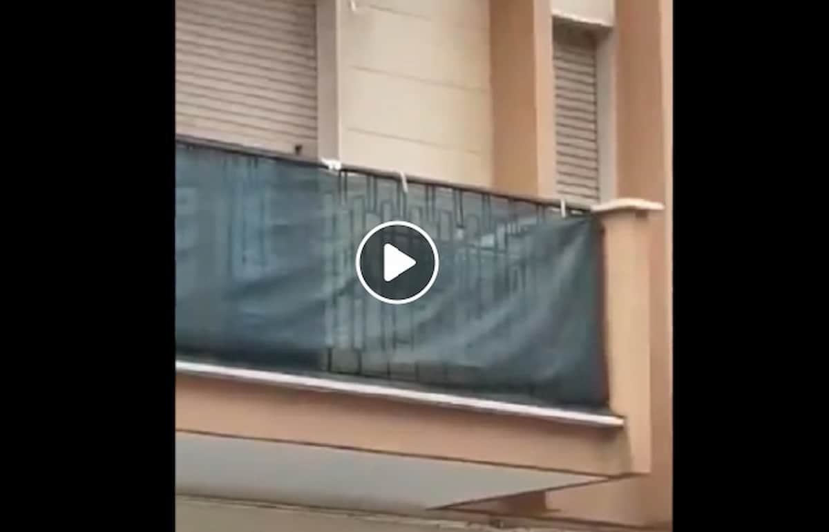 Trani, pipistrelli lasciati ad essiccare sul balcone? Psicosi Coronavirus, ma erano polli