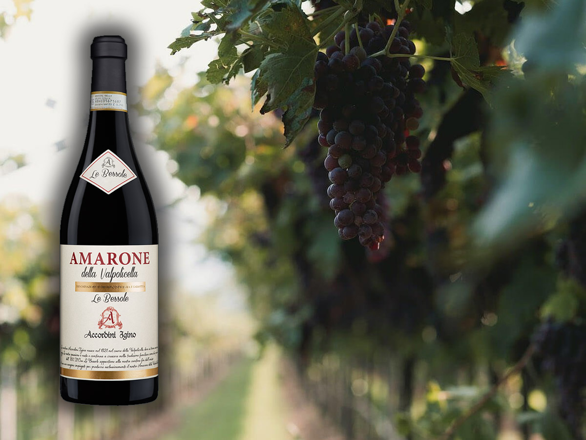 Mercato del vino, la Valpolicella sugli scudi con Ripasso e Amarone