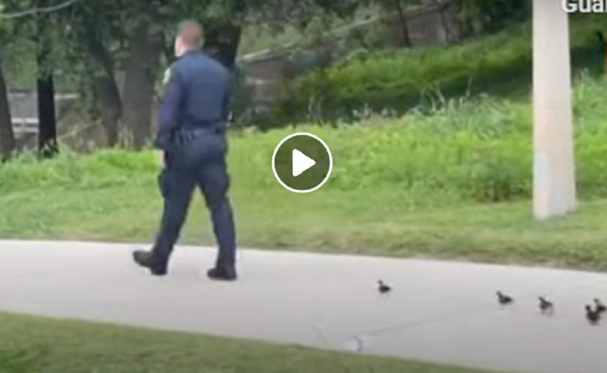 anatroccoli in fila a houston