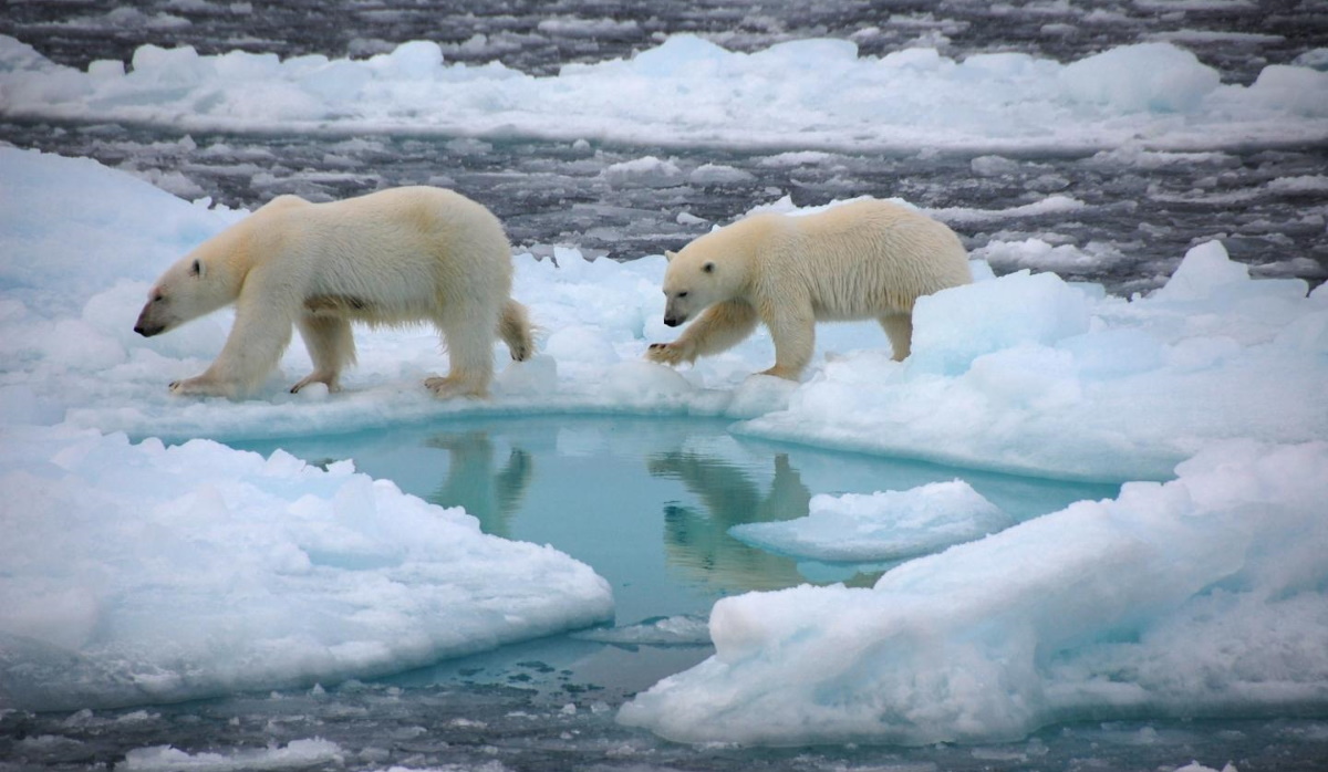 Ghiaccio marino artico si scioglierà in estate già prima del 2050