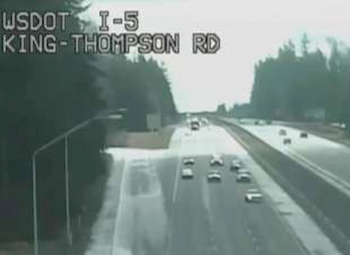 Pitbull guida in autostrada. Dopo inseguimento padrone si giustifica: "gli stavo insegnando a guidare"