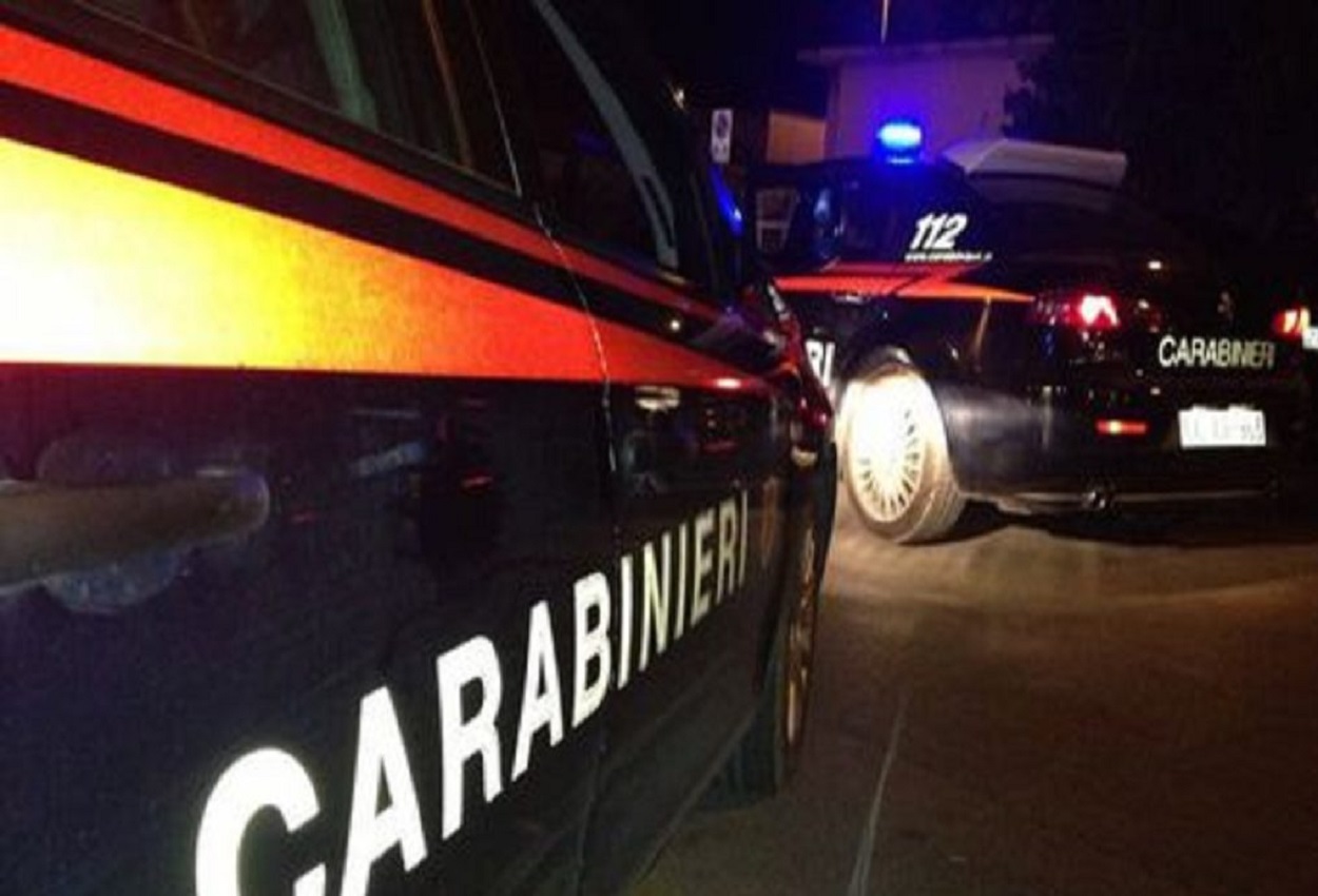 Carabinieri, Ansa