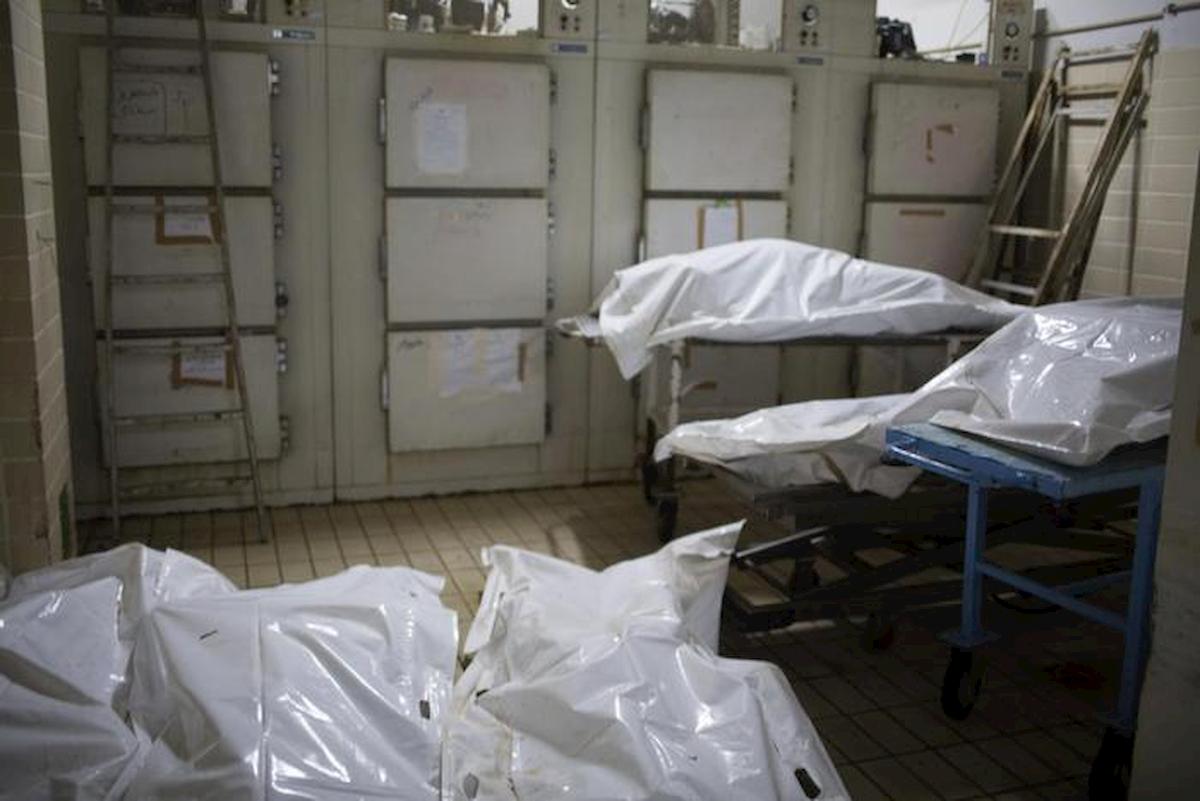 celle frigorifere cimitero ansa