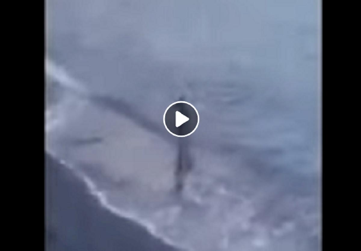 cerbiatto infilzato camogli