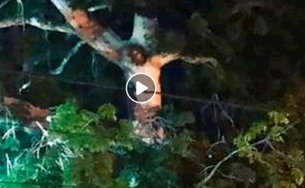 coronavirus colombia