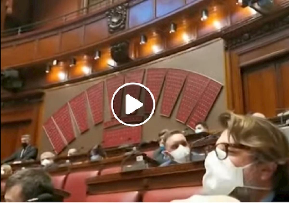 fratelli d'italia contro m5s