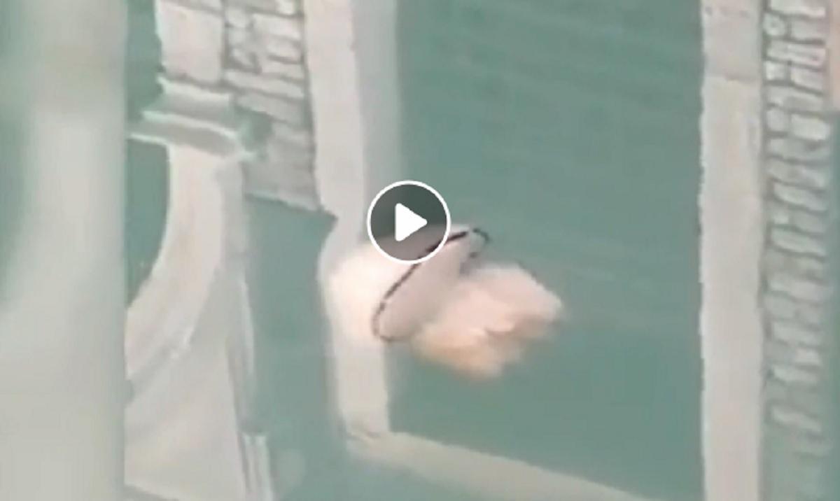 medusa venezia piazza san marco