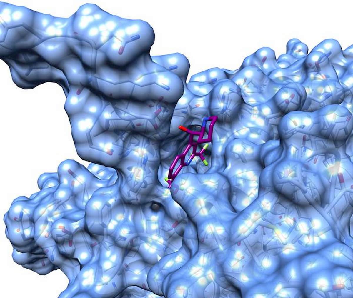 Coronavirus: isolate 35 molecole per combatterlo tra le 9mila disponibili. Con i calcoli per il bosone di Higgs