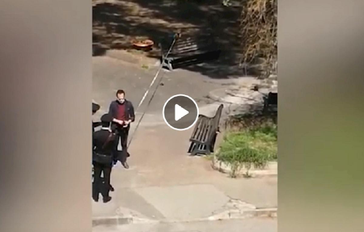 pappagallo al guinzaglio