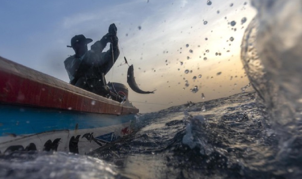 Coronavirus, dal 4 maggio consentita anche la pesca sportiva