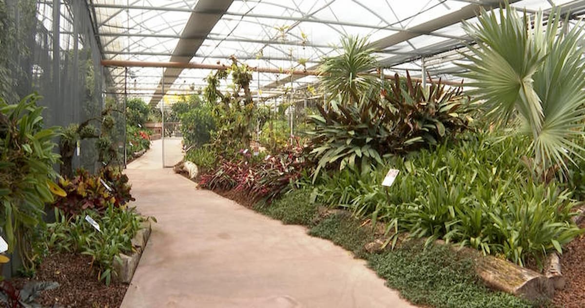 Fase 2, in Piemonte riaprono i fioristi