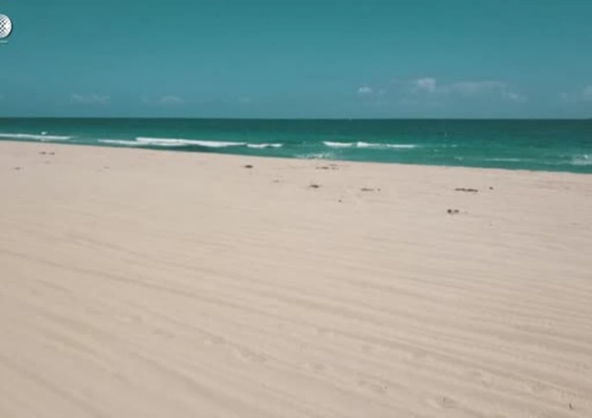 Coronavirus, in spiaggia a luglio? L'epidemiologo: "Abbronzatura con effetto mascherina"