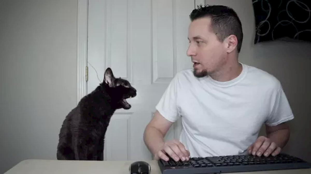 Steve Cash è morto: lo youtuber che parlava con i gatti si è sparato