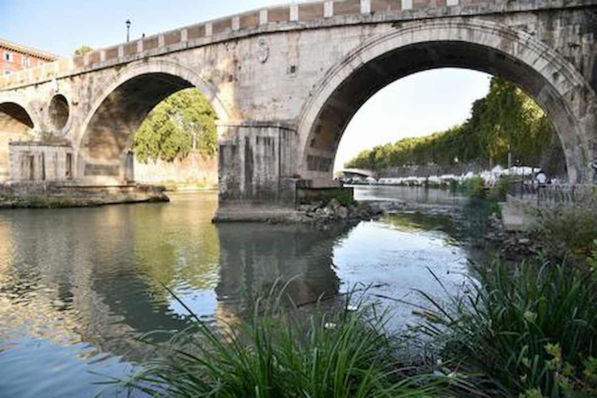 cadavere tevere roma