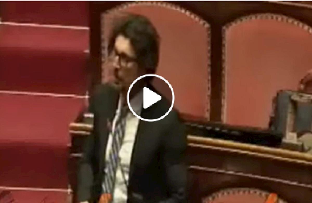 toninelli attacca lega in senato