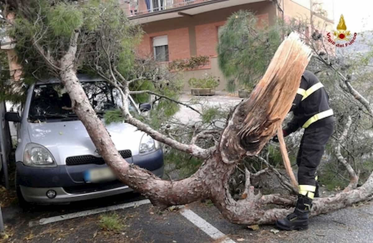 Parma, tromba d’aria in città: alberi e rami caduti in strada