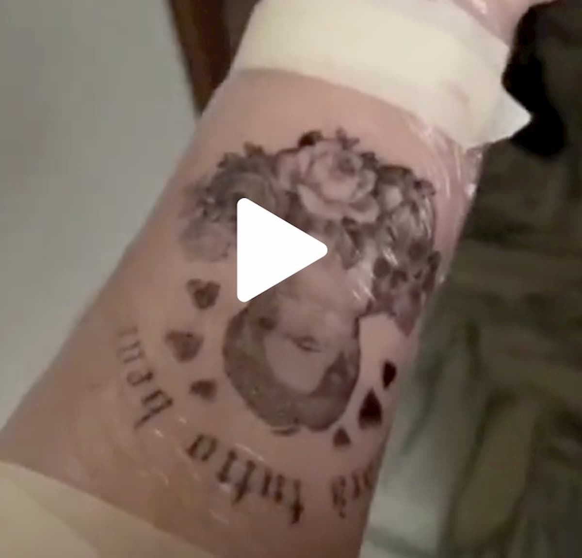 Si fa tatuare Giuseppe Conte sul braccio e posta il video su TikTok. "Così divento famosa"