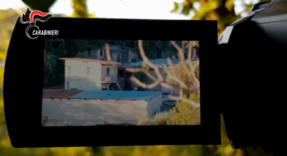 ‘Ndrangheta, arrestato il latitante Gregorio Giofrè: si nascondeva nelle campagne di San Gregorio d'Ippona