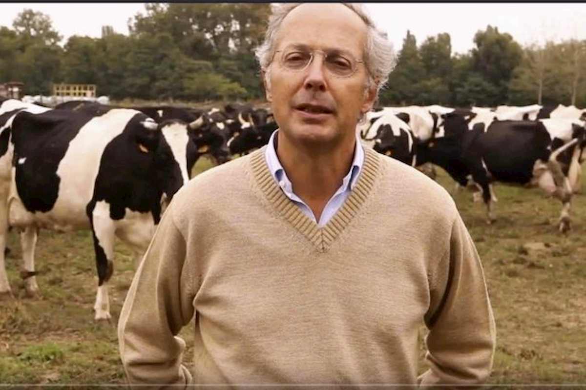 Aldo Paravicini morto in un incidente: il figlio di Giulia Maria Crespi aveva 65 anni