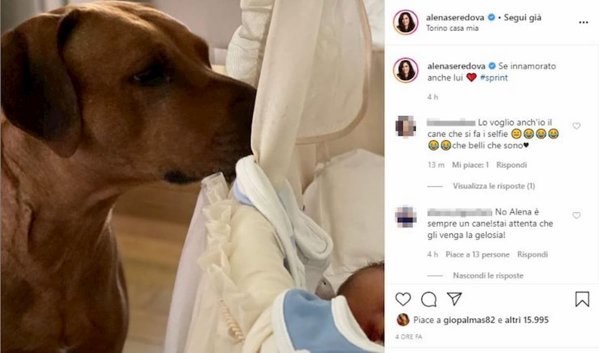 Alena Seredova criticata per la foto del cane che veglia sulla figlia in culla: "Pericoloso e non igienico"