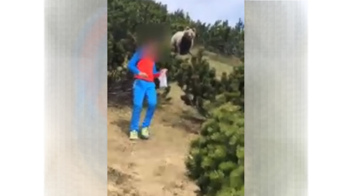 Incontro orso-bambino, Alessandro: No paura e spero di rivederlo