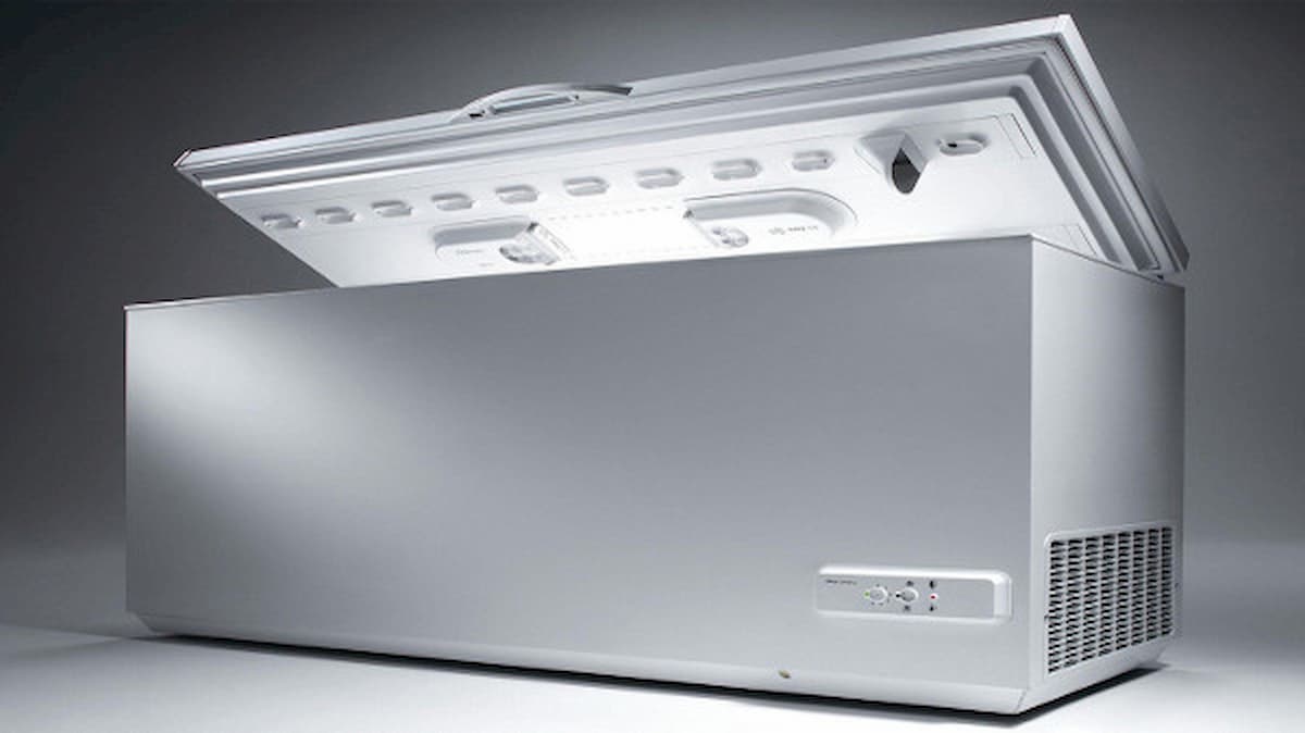 Usa, 61enne aveva nascosto la nonna morta nel freezer per incassare la pensione