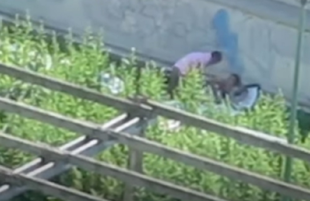 Coppia consuma un rapporto all'aperto VIDEO. Uomo e donna denunciati a Torino