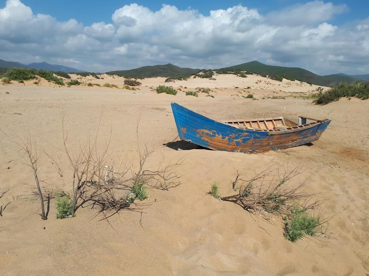 Pianeta Terra 2070: dove ora abita un terzo degli umani clima invivibile come il Sahara