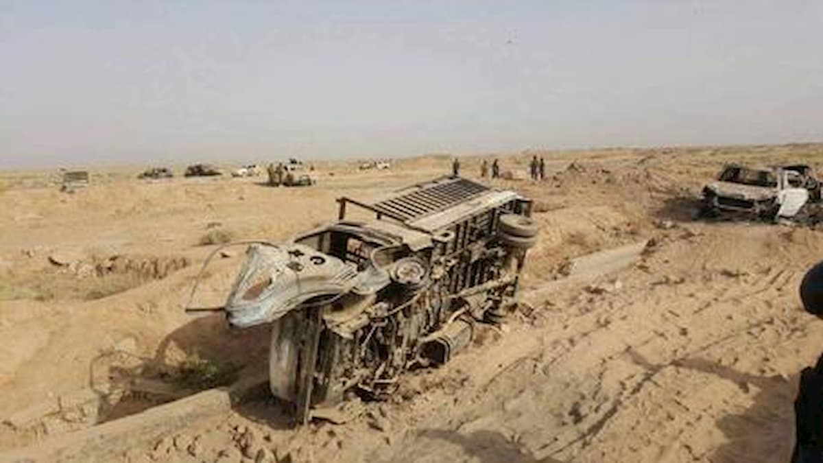 Veterano Usa dopo 7 anni adotta il cane che gli salvò la vita in missione in Iraq