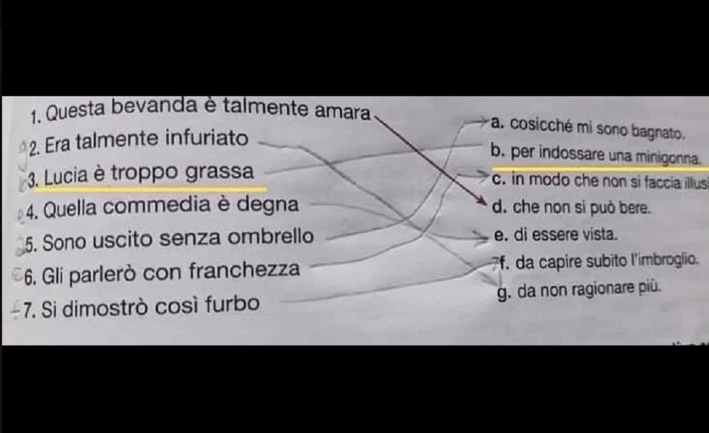"Talmente brutta che...", "troppo grassa per...". Completa la frase. Libro sessista a scuola
