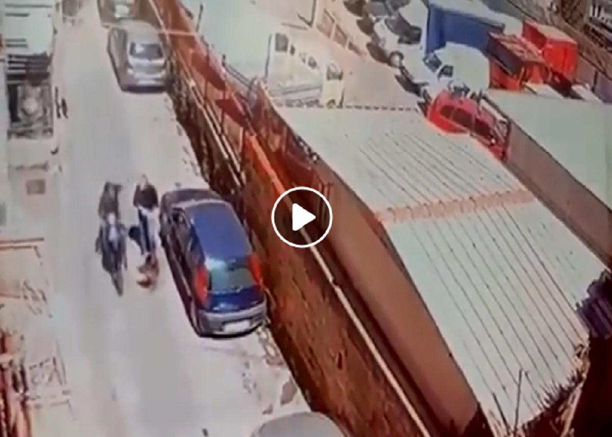 napoli scippo spasso cane