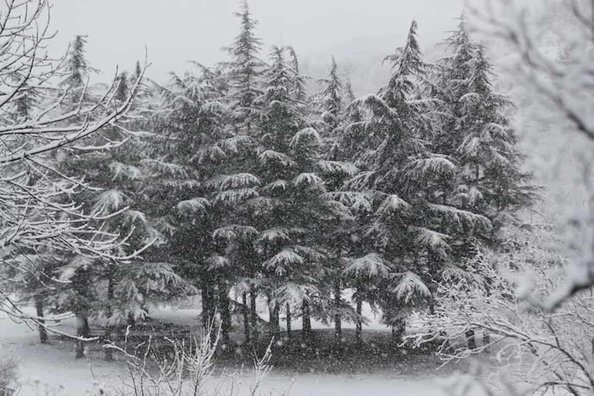 Austria, tragedia sfiorata dopo proposta di matrimonio: la futura sposa è precipitata dal monte Falkert si è salvata