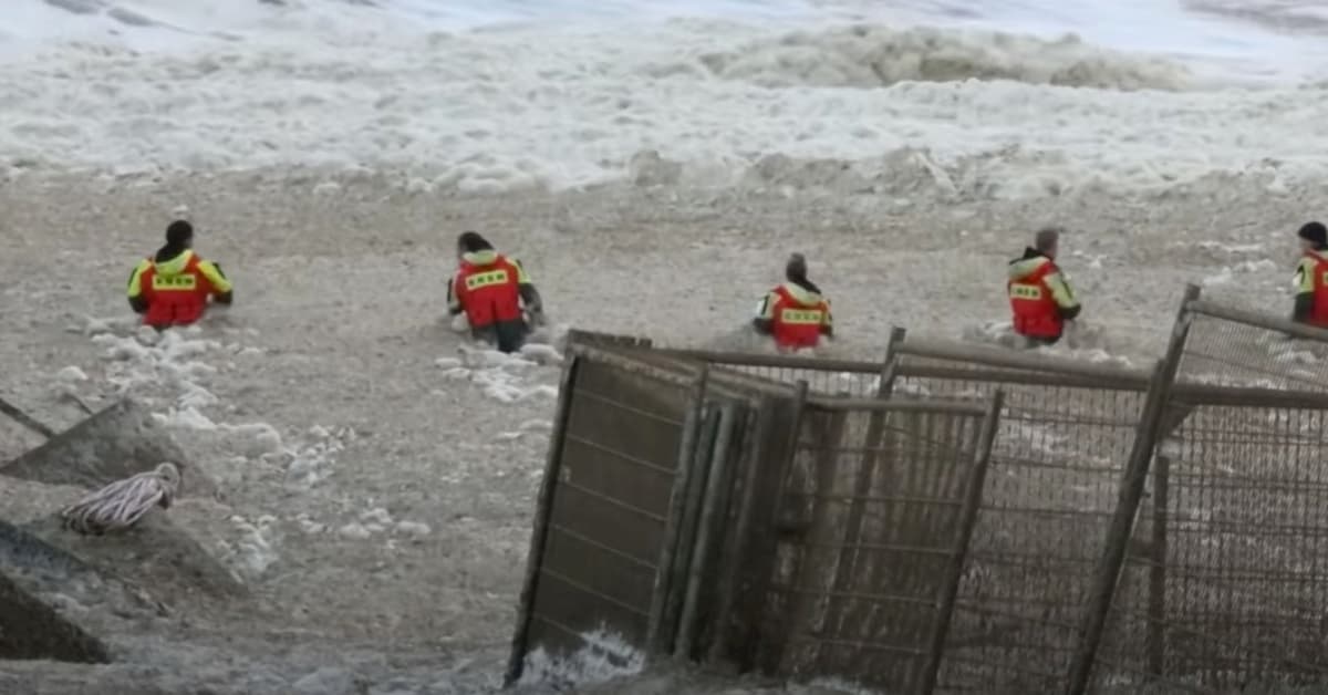 Olanda, cinque surfisti travolti e uccisi in mare da una 'valanga' di schiuma